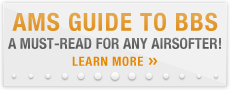 Must Read Guide to BBs