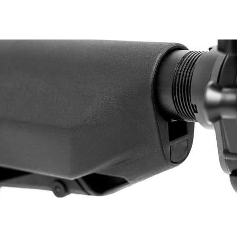 PTS Enhanced Polymer Stock EPS-2 - (Black)