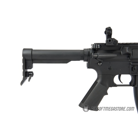 Golden Eagle F6637 Elite Series 7